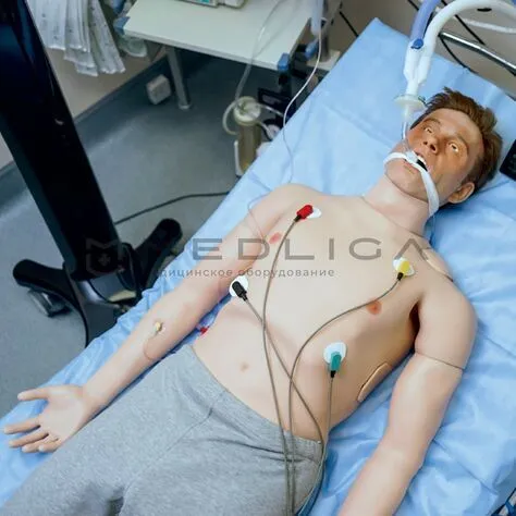 Симулятор взрослого пациента MedVision Leonardo HF
