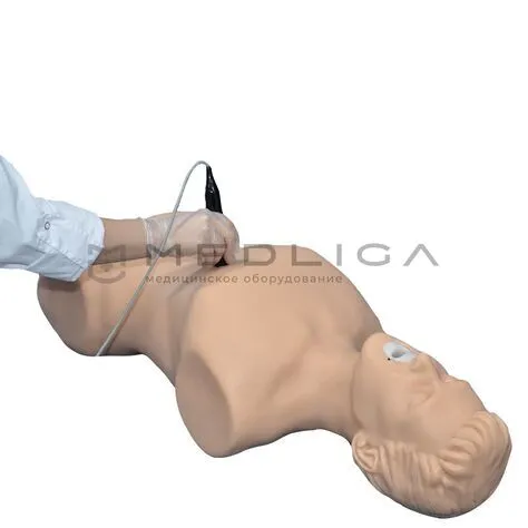 Симулятор ультразвуковой диагностики MedVision SonoVision