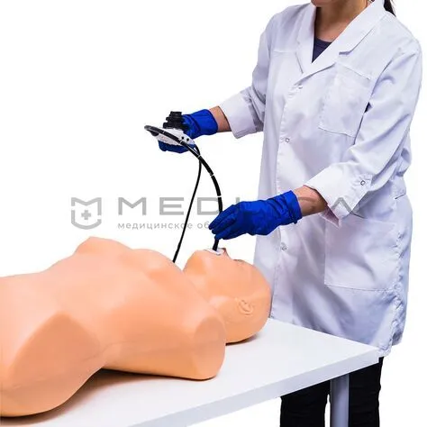 Симулятор ультразвуковой диагностики MedVision SonoVision