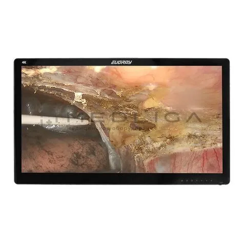 Монитор 32" 4K эндоскопический-хирургический EVORAY S3281P