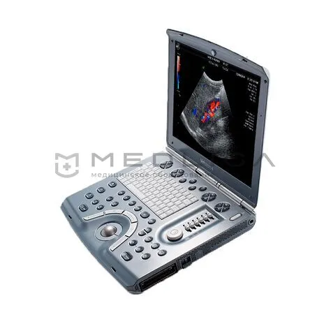 Портативный ультразвуковой сканер GE Healthcare Voluson I