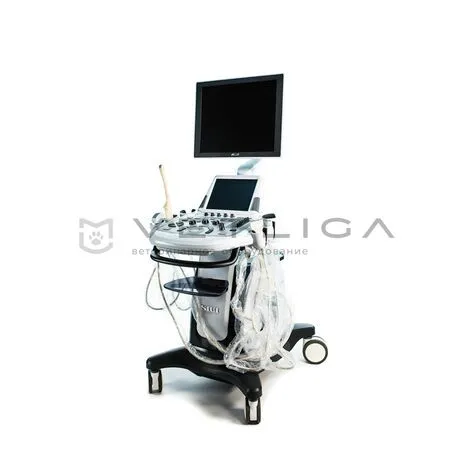 УЗИ аппарат SIUI Apogee 5300 Vet