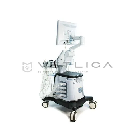 УЗИ аппарат SIUI Apogee 5300 Vet