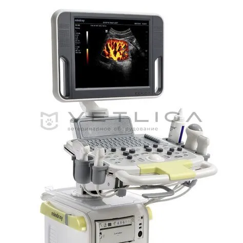 УЗИ аппарат Mindray DC-N3 для ветеринарии