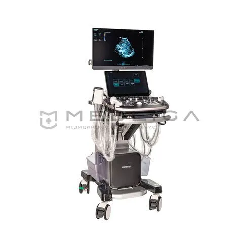 Ультразвуковой аппарат Mindray Imagyn I9