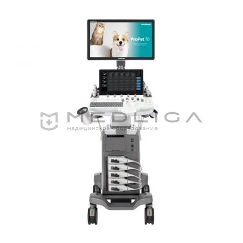 УЗИ аппарат SonoScape ProPet 70