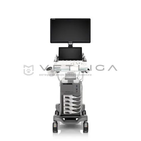 УЗИ аппарат SonoScape ProPet 80