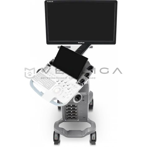 УЗИ аппарат SonoScape ProPet 80