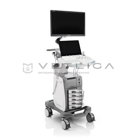 УЗИ аппарат SonoScape ProPet 80