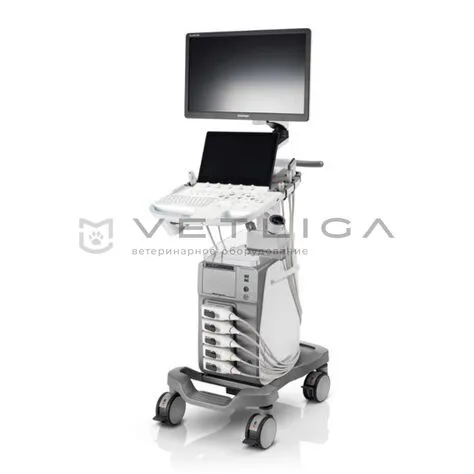 УЗИ аппарат SonoScape ProPet 80