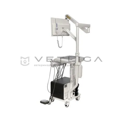 Ветеринарная стоматологическая установка VETLIGA DM-280