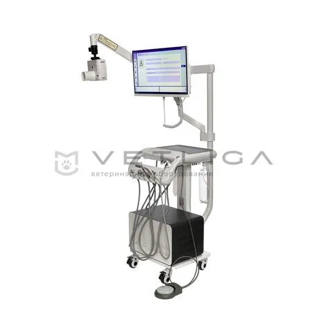 Ветеринарная стоматологическая установка VETLIGA DM-280