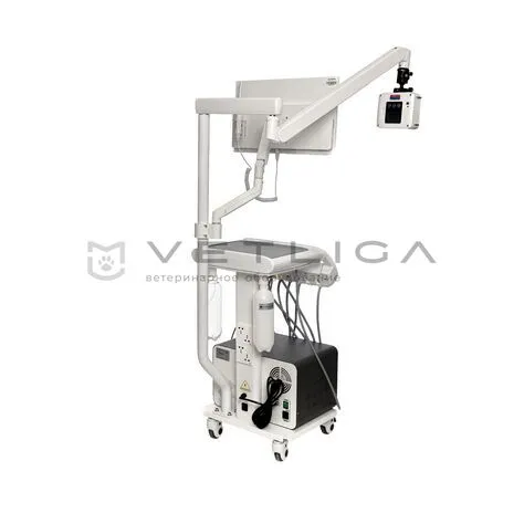 Ветеринарная стоматологическая установка VETLIGA DM-280