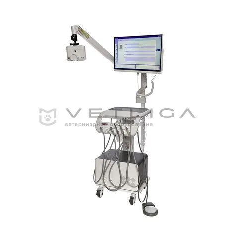 Ветеринарная стоматологическая установка VETLIGA DM-280