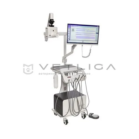 Ветеринарная стоматологическая установка VETLIGA DM-280