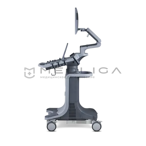 УЗИ аппарат Edan Acclarix LX9