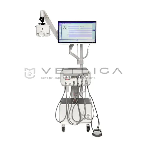 Ветеринарная стоматологическая установка VETLIGA DM-280