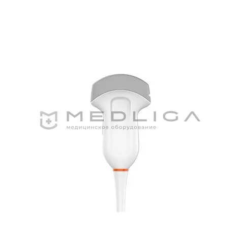 Конвексный датчик EVORAY 3C5MD